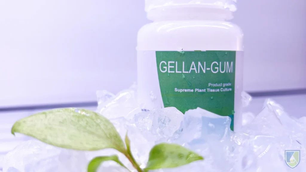 How Many Calories in 1 Gram of Gellan Gum?